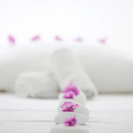 诺托斯温泉酒店 维查德